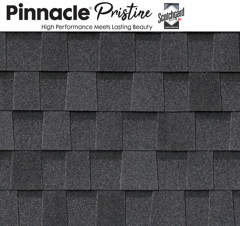 Pinnacle Pristine Black Shadow